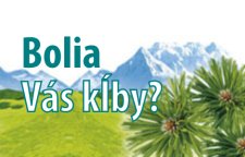 Bolia V�s k�by ?
